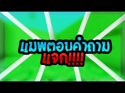 แจกแมพตอบคำถามมายคราฟสุด EZ ที่สร้างกันในไลฟ์สตรีม l Minecraft Question Map - แจกแมพตอบคำถามมายคราฟสุด EZ ที่สร้างกันในไลฟ์สตรีม l Minecraft Question Map