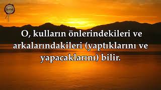 Amenerrasulü, Ayetel Kürsi, Lev Enzelna | Ebubekir Şatıri Tilaveti (Huzur Veren Kur'an)