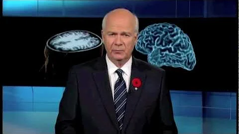 Awareness in the Vegetative State