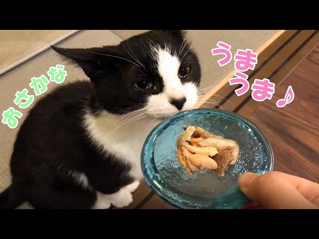 9月のウマウマデー【さんまのかば焼き丼】