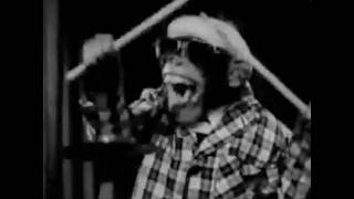 Red Rose Tea Chimp Band Commercial