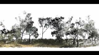 Terrestrial Laser Scanner in a Woodland Site