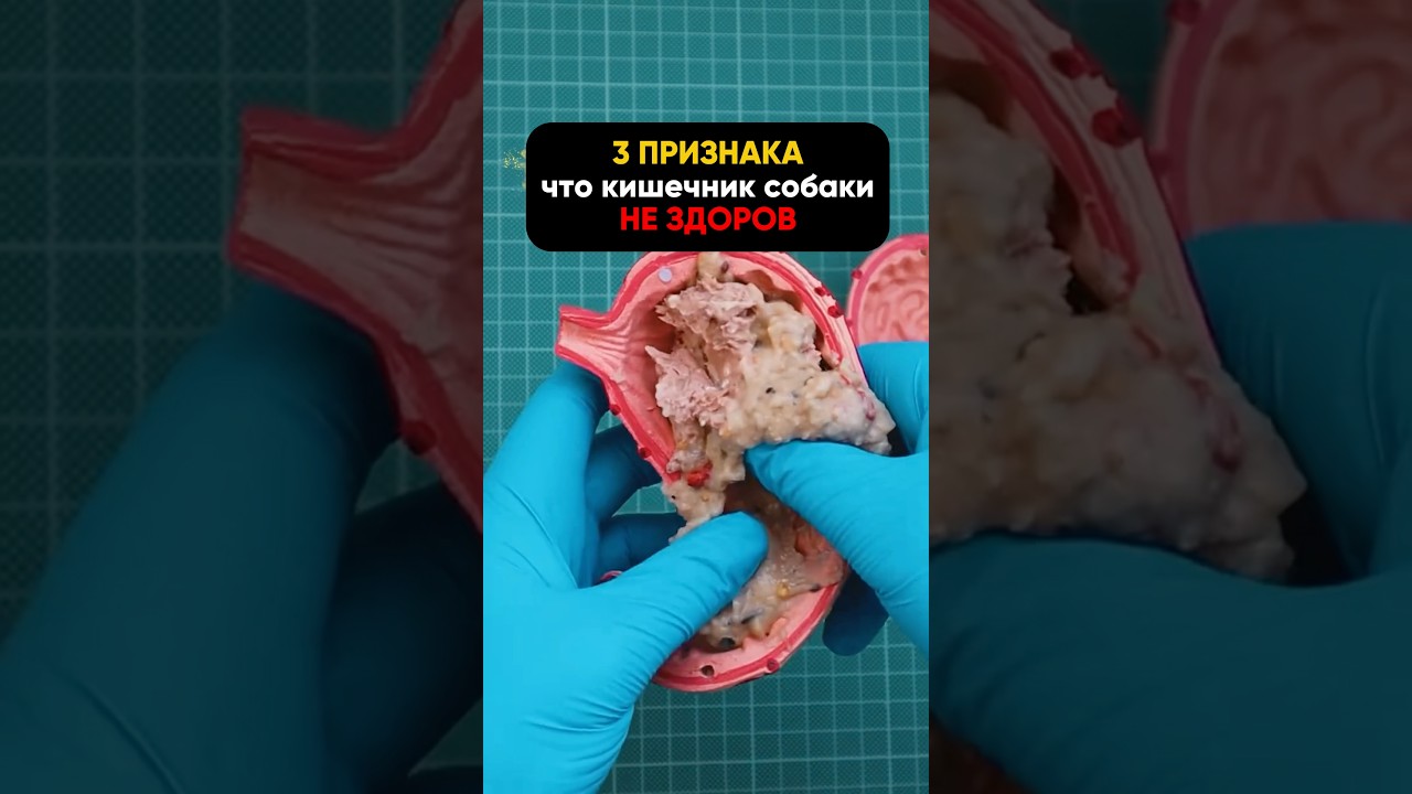 не игнорируй это⚠️ арт на пробиотик: 