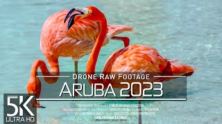 【5K】🇦🇼 Drone RAW Footage 🔥 This is ARUBA 2023 🔥 Netherlands Antilles 🔥 UltraHD Stock Video