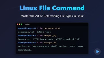 Linux File Command: Master File Type Identification 🔥