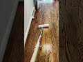 Satisfying Polyurethane Finish Application ✨ #refinshing #wood #flooring #viral #video