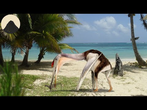 Video: Dwarf Dinosaur Island - Alternative View