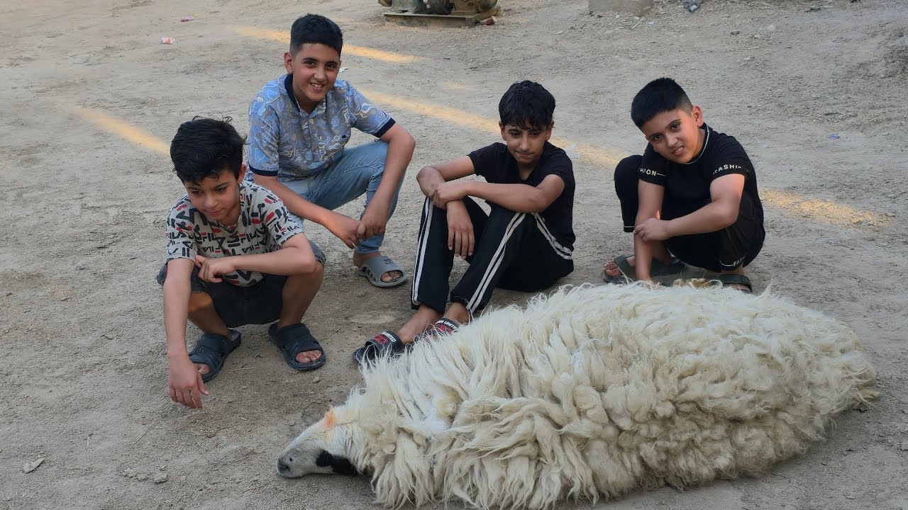 سافرنا الى عمامي بيت مضهضب في القرنه