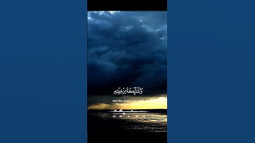سورة الرعد الآية(12)-(13)