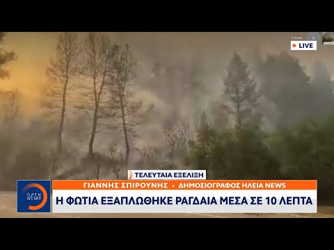 Κρέστενα Ηλείας: Η φωτιά εξαπλώθηκε ραγδαία μέσα σε 10 λεπτά | Κεντρικό δελτίο ειδήσεων | OPEN TV
