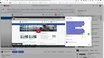 How to Embed a YouTube Video in Brightspace