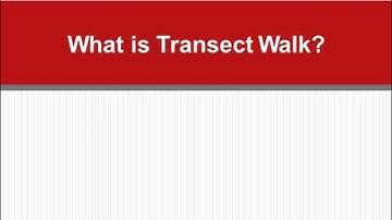 What is Transect Walk?
