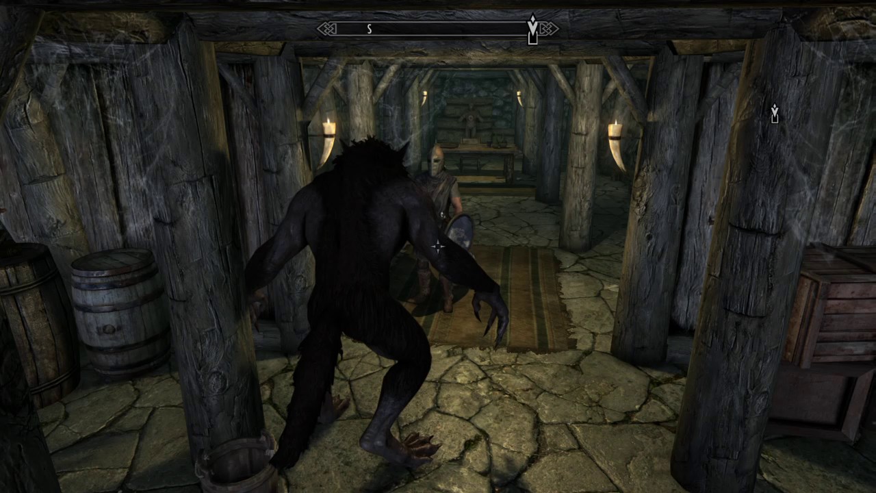 Skyrim: Most stupid guard ever!