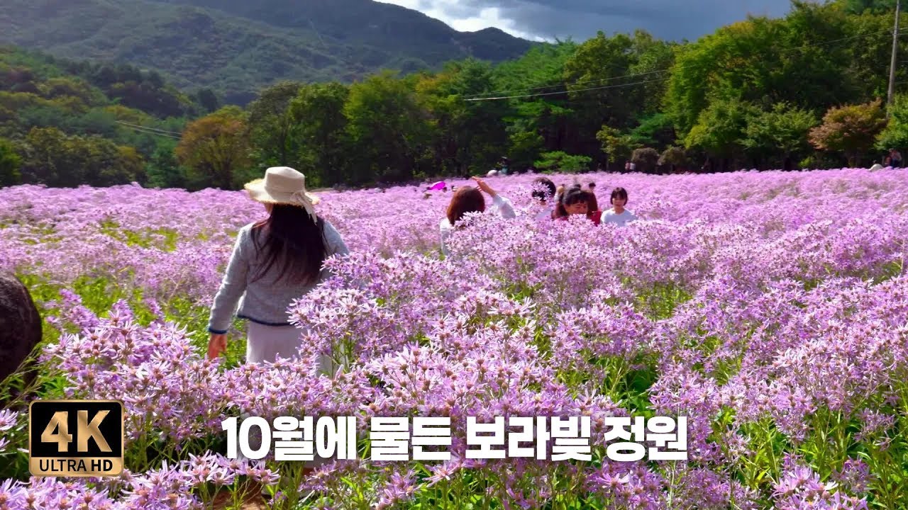 Прогулка 4K по ферме Мунхи 💜 Фиолетовый сад в осеннем свете