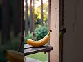 A banana sitting on a swing by itself. #shorts