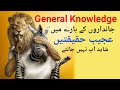 General Knowledge Urdu جانوروں کے بارے میں حیران کن باتیں Saeen Log 