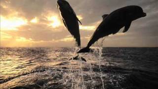 Dumonde-Never Look Back (MDK remix)