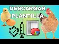 EXCEL DE CONTROL Y PLAN DE VACUNACION PARA GALLINAS PONEDORAS