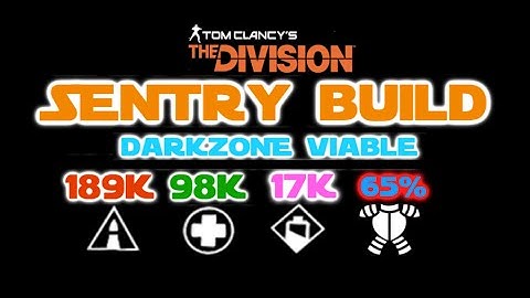 The Division | 189k/98k/17k 65% AR 1.1 Sentry Build