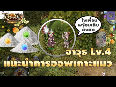 【ROL GUIDE】- แนะนำการออพเกาะแมวให้อาวุธ Lv.4 เทพขึ้นไปอีกขั้น | Ragnarok Landverse