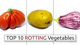 Top 10 Rotting Vegetable Timelapses