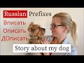 Learn Russian Prefixes - Russian Verb ПИСАТЬ | Intermediate Russian (RU / EN subs)