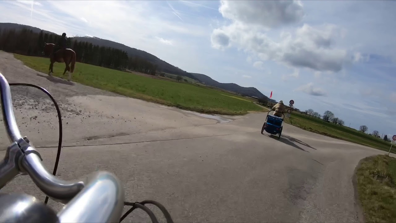 Fasnacht 2019 - Möhlin, AG - public