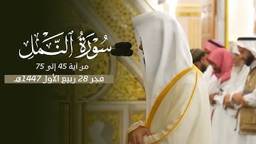 تلاوة جميلة من سورة النمل للشيخ د. محمد برهجي فجر السبت 28-3-1447هـ
