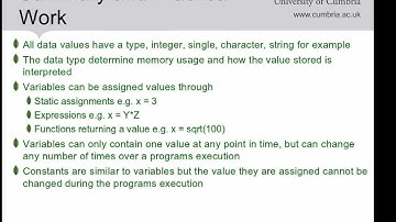 ABMC4007 (Part 2-5) Summary of Data types and Variables