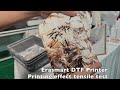 Erasmart dtf printer printing effect tensile test