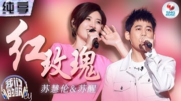 【纯享版】苏慧伦苏醒深情演绎经典情歌《红玫瑰》 爱而不得的遗憾交织着难以释怀的呐喊 高低音和声将感情中的拉扯感放大到极致！#我们的歌第五季 Singing With Legends S5 Clip