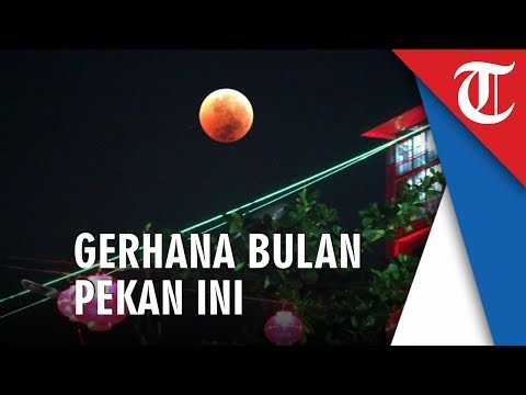 Jakarta - Gerhana Bulan Akan Terjadi Dini Hari, Bisa Disaksikan Dengan Mata Telanjang