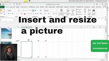 Insert and resize a picture in Excel with VBA