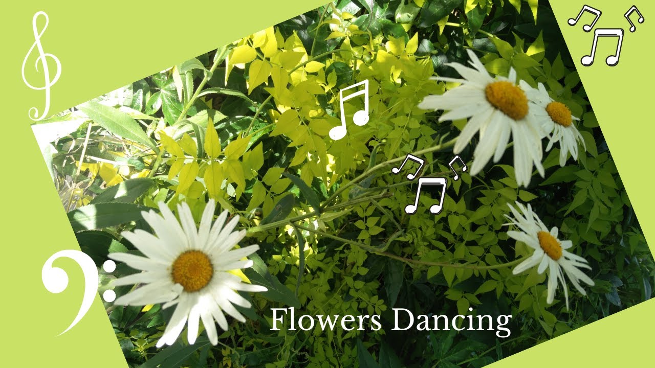 Watch Flowers Dancing in the Breeze: Mindfulness Music (432hz) on YouTube