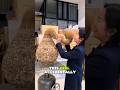 😱 Girl Touches 💸 Million-Dollar Paper Art 🎨 and It Starts Falling Apart! 😨