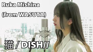 Video thumbnail of "三品 瑠香（from WASUTA）vocal cover of / DISH//「猫」"