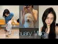 vlog. 새해부터 잘 먹는 사람 🫵🏻 ⏐면접 • 산책 • 외출 필수템 💡