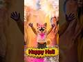 Puppy ki happy holi🥳🌈 watch till end 😱#shorts #trending #viral