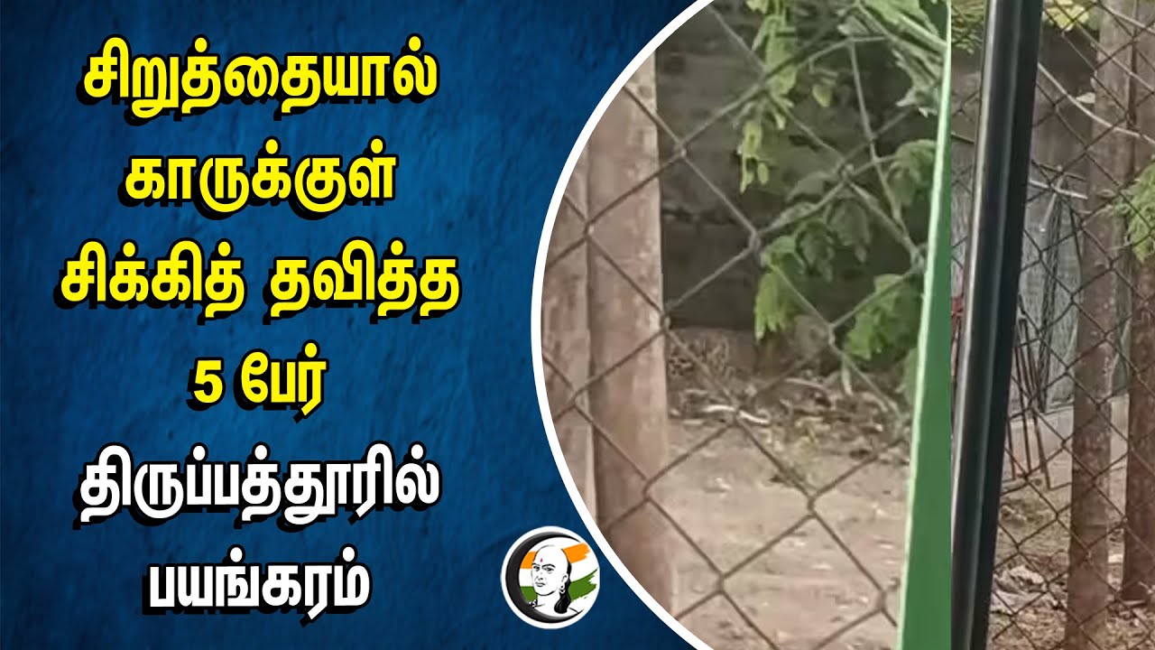 சிறுத்தையால் காருக்குள் சிக்கித் தவித்த 5 பேர்.. திருப்பத்தூரில் பயங்கரம் | Cheetah | Tirupathur