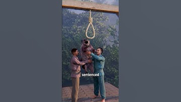 The Pig That Stood Trial for Murder