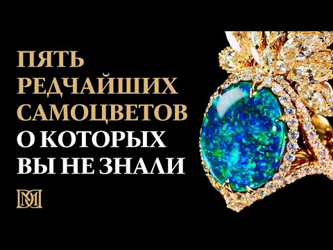 Редкие драгоценные камни, которые стоит увидеть