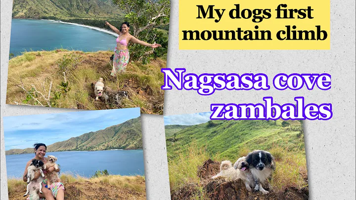 MY DOG FIRST MOUNTAIN CLIMB IN NAGSASA COVE #zamba...