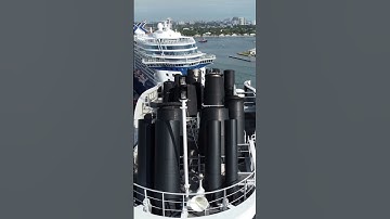 Thumbnail of Are cruise ship horns getting too loud?