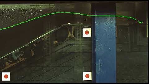 Deltares Individual Wave Overtopping Tests