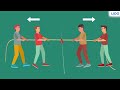 Understanding Forces and Motion