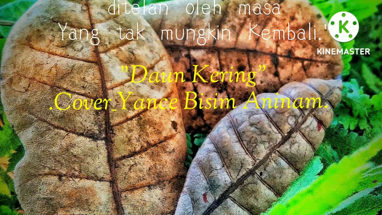 @Daun Kering.#Cover_Yance Bisim Aninam#