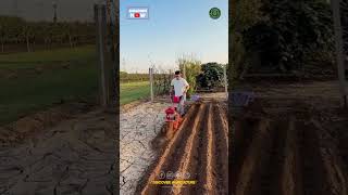 Amazing Battery Operated Power Tiller Machine