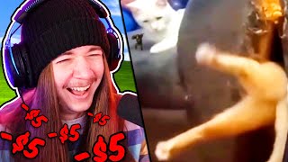 Its Time to Gift Subs Every Time I Laugh at Unusual Memes