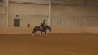 EPRHA 190513 Green Deborah Stiles on Mr Lonely 2006