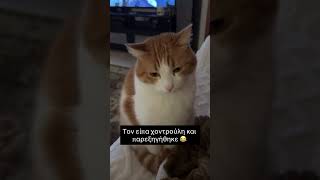 Τον είπα χοντρούλη και παρεξηγήθηκε 😂 #κατοικιδια